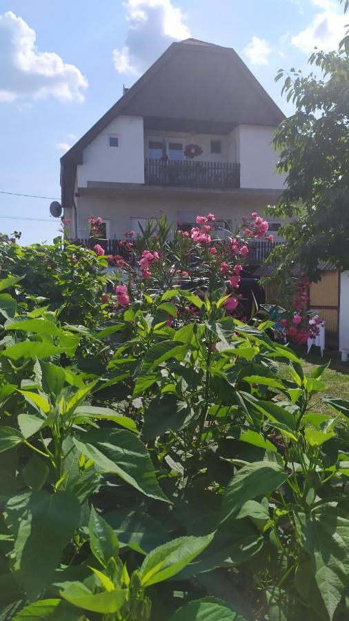 Leander Apartman Balatonlelle Luaran gambar